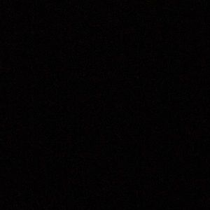 Meet your Posher, Mia